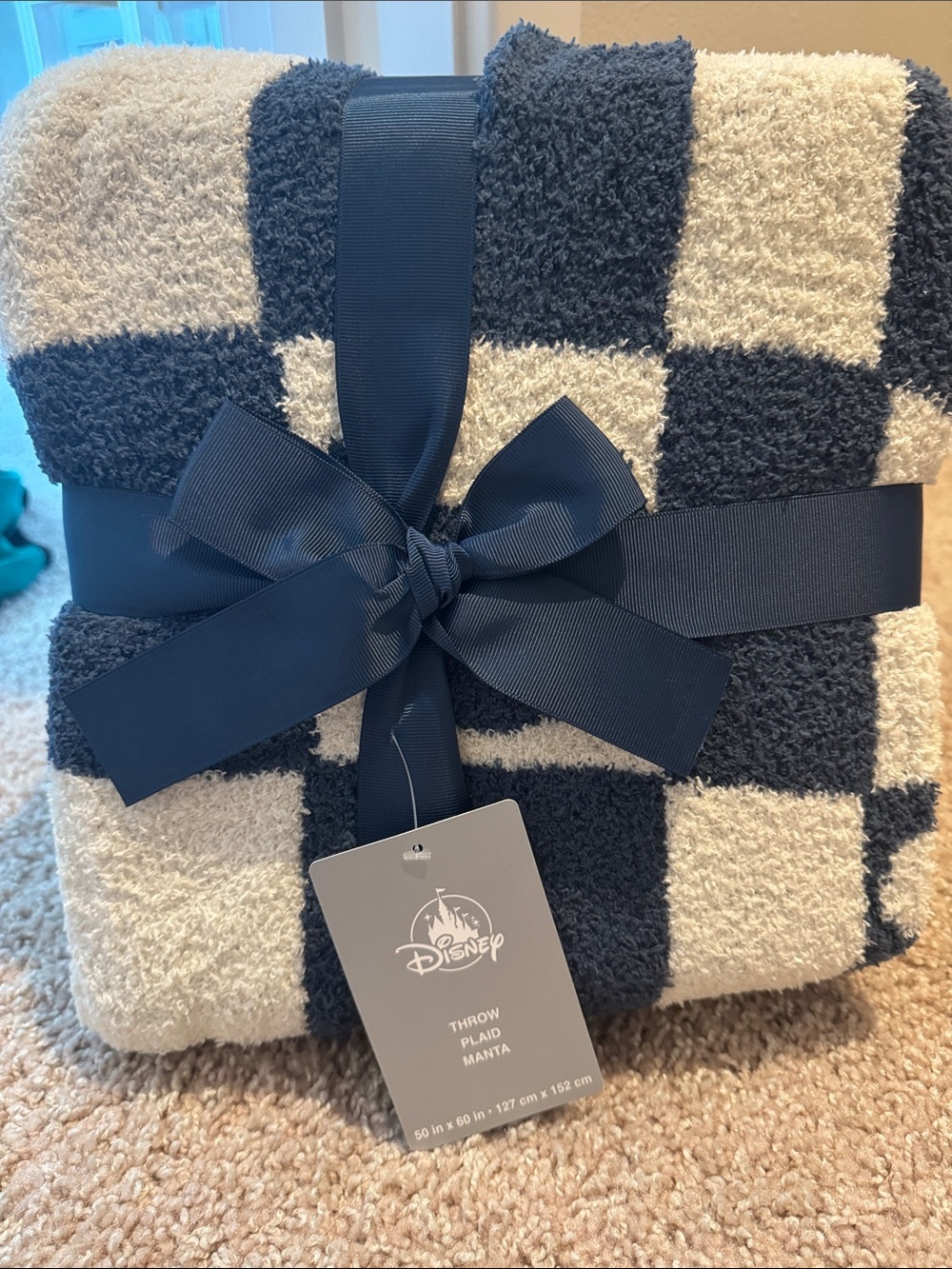 NWT Disney Plush Throw